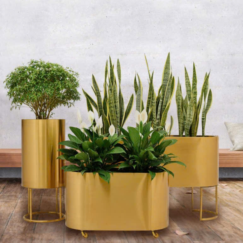 quang-sang---kich-thuoc-bai-dang-web-xuat-khau-np-800-x-600-px-800-x-800-px