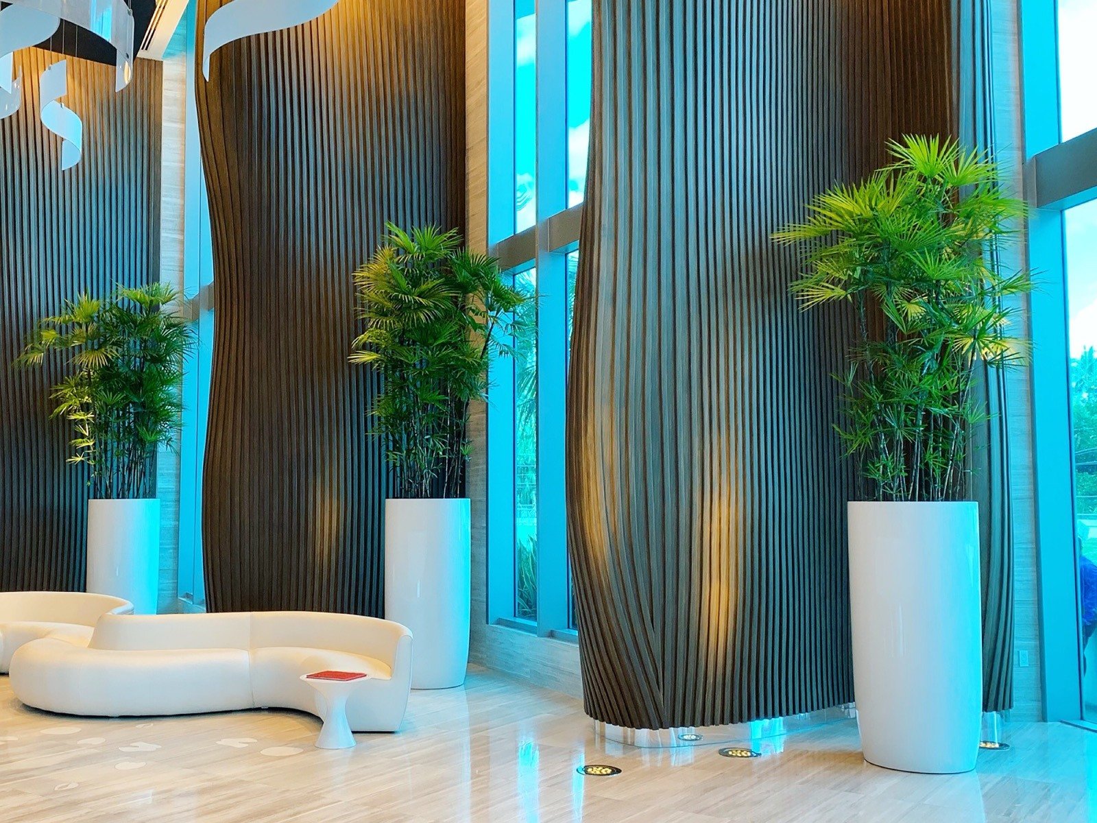 plant-guy-paramountfll